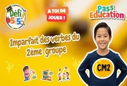 Imparfait des verbes du 2ème groupe - Exercices en vidéo - Défi 5/5 : Primaire 5