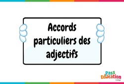 Accords particuliers des adjectifs - Vidéo pédagogique interactive : Secondaire 1, 2, 3