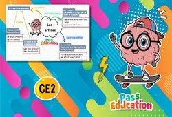 Les articles - Vidéo pédagogique : Primaire 3