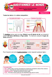 Hygiène dentaire - Cours, Leçon - Apis & ses amis : Primaire 2 - PDF à imprimer