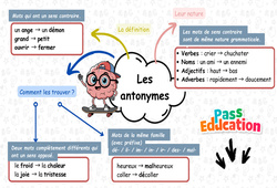 Les antonymes - Carte mentale à co - construire de vocabulaire : Primaire 3 - PDF à imprimer