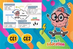 Les antonymes - Carte mentale en vidéo : Primaire 3