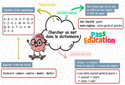 Chercher un mot dans le dictionnaire - Carte mentale à co - construire : Primaire 3 - PDF à imprimer