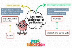 Les mots génériques et les mots particuliers - Carte mentale à co - construire : Primaire 3 - PDF à imprimer