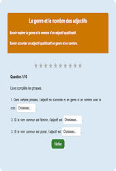Genre et nombre adjectifs - Fiches Exercice en ligne  - Fiches Français - Orthographe - Étude de la langue : Primaire 2