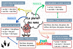 Le pluriel des noms - Carte mentale à co - construire : Primaire 3 - PDF à imprimer