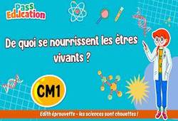 De quoi se nourrissent les êtres vivants&nbsp;? - Vidéo pédagogique - Edith Eprouvette : Primaire 4