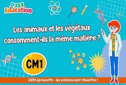 Les animaux et les végétaux consomment - ils la même matière&nbsp;? - Vidéo pédagogique - Edith Eprouvette : Primaire 4