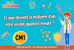 Et que devient la matière d’un être vivant quand il meurt&nbsp;? - Vidéo pédagogique - Edith Eprouvette : Primaire 4