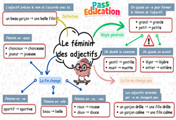 Le féminin des adjectifs - Carte mentale à co - construire : Primaire 3 - PDF à imprimer
