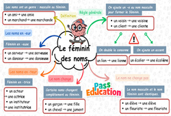 Le féminin des noms - Carte mentale à co - construire : Primaire 3 - PDF à imprimer