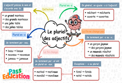 Pluriel des adjectifs - Carte mentale à co - construire : Primaire 3 - PDF à imprimer
