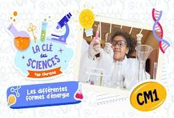 Les différentes formes d’énergie - Quiz - La Clé des Sciences : Primaire 4