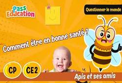 Est - ce que l’hygiène domestique, c’est les règles de la maison&nbsp;? - Vidéo - Apis & ses amis : Primaire 1, 3