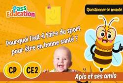 Pourquoi faut - il faire du sport pour être en bonne santé&nbsp;? - Vidéo - Apis & ses amis : Primaire 1, 3