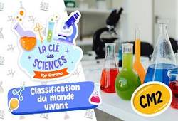 Classification du monde vivant - Quiz - La Clé des Sciences : Primaire 5