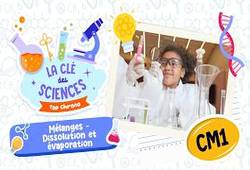 Les matériaux naturels et artificiels - Quiz - La Clés des Sciences : Primaire 5