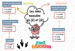 Les noms masculins en - é, - er, - ier, - et - Carte mentale à co - construire : Primaire 3