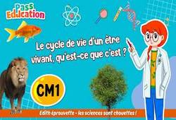 Le cycle de vie d’un être vivant, qu’est - ce que c’est&nbsp;? - Vidéo - Edith Eprouvette : Primaire 4
