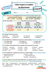 Utiliser le genre et le nombre des déterminants - Exercices Pas à Pas : Primaire 4 - PDF à imprimer