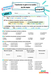 Transformer le genre et le nombre des groupes nominaux simples - Exercices Pas à Pas : Primaire 4 - PDF à imprimer