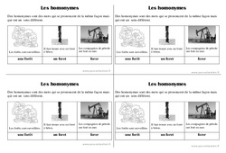 Homonymes - Cours, Leçon : Primaire 2 - PDF à imprimer