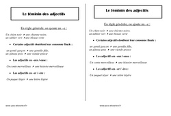Féminin des adjectifs - Cours, Leçon : Primaire 2 - PDF à imprimer