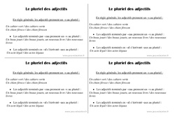 Pluriel des adjectifs - Cours, Leçon : Primaire 2 - PDF à imprimer