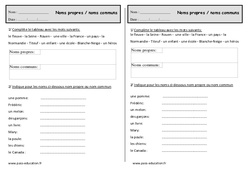 Noms propres - Noms communs - Exercices - Comment les distinguer : Primaire 2 - PDF à imprimer