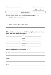Dictionnaire - Examen Evaluation - Vocabulaire : Primaire 2 - PDF à imprimer