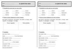 Pluriel des noms - Exercices - Orthographe : Primaire 2 - PDF à imprimer