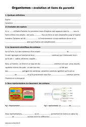 Organismes - Liens de parenté et évolution - Cours, Leçon : Primaire 4, 5 - PDF à imprimer