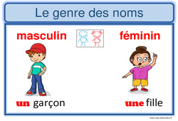 Genre et nombre - Affiche pour la classe : Primaire 2, 3 - PDF à imprimer
