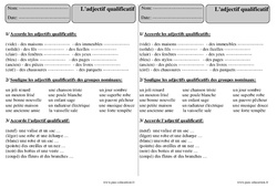 Adjectif qualificatif - Exercices Corrigés : Primaire 3 - PDF à imprimer