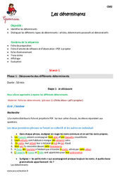 Déterminants - Séquence - Fiche de préparation : Primaire 5 - PDF à imprimer