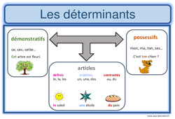Déterminants - Affiche pour la classe : Primaire 5 - PDF à imprimer