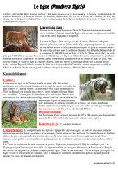 Les tigres - Documentaire - Lecture : Primaire 4, 5 - PDF à imprimer
