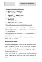 Nom - Déterminant - Exercices corrigés - Grammaire : Primaire 5 - PDF à imprimer