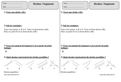 Droites - Segments - Exercices corrigés - Géométrie : Primaire 2 - PDF à imprimer