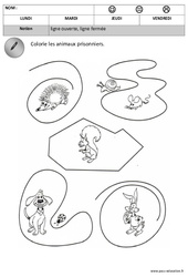 Ligne ouverte - Ligne fermée - Espace : Maternelle 1 - PDF à imprimer