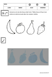 Ombres - Logique : Maternelle 1 - PDF à imprimer
