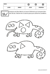 Dessins - Logique : Maternelle 1 - PDF à imprimer