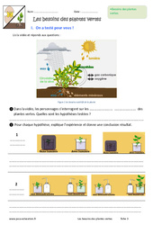 Besoins des plantes vertes - Exercices : Primaire 6 - PDF à imprimer