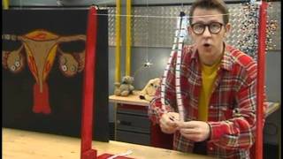 Reproduction Humaine - Vidéos pédagogiques - Le corps humain et l’éducation à la santé - Sciences : Primaire 3, 4, 5