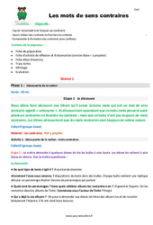 Mots de sens contraire - Séquence - Fiche de préparation : Primaire 4 - PDF à imprimer