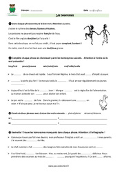 Homonymes - Exercices : Primaire 5 - PDF à imprimer