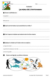 Enjeux liés à l’environnement - Examen Evaluation - Bilan : Primaire 6 - PDF à imprimer