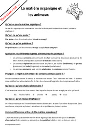 Qu'est - ce que la matière organique et les animaux ? : Primaire 4, 5 - PDF à imprimer