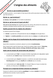 Quelle est l'origine des aliments ? : Primaire 4 - PDF à imprimer