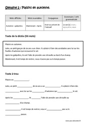 Avoir au présent de l’indicatif	Le son [s] - Fiches  c ,  ç , t ,  x - Dictée préparée - A trous - Semaine 2 : Primaire 3 - PDF à imprimer